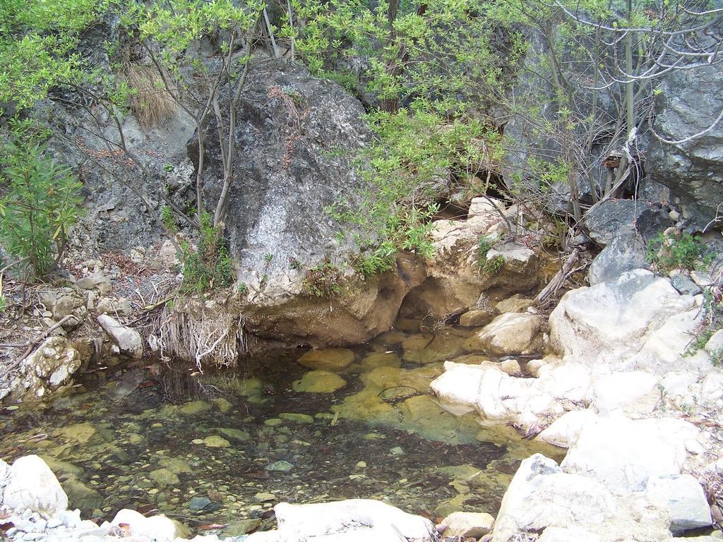 Hostal Sango Sierra De Las Nieves Alozaina 외부 사진